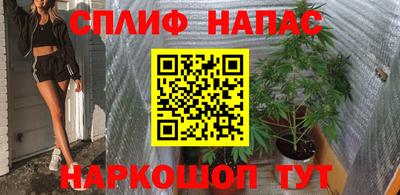 ешки Волгодонск