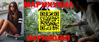 крисы Волжский