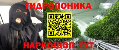 крисы Волжский