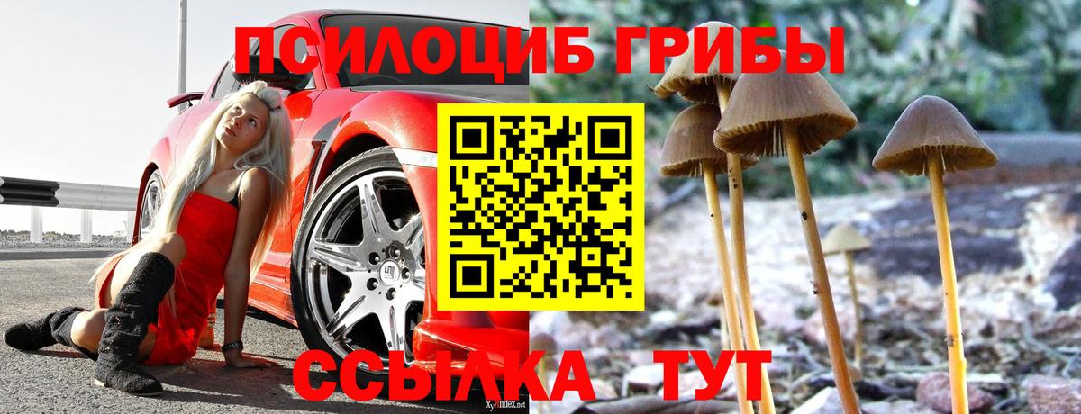 Галлюциногенные грибы прущие грибы  Вход с VPN  Нижневартовск 